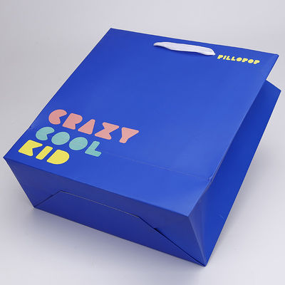 Logo Matt Varnish Printable Paper Bags feito sob encomenda descartável com punho
