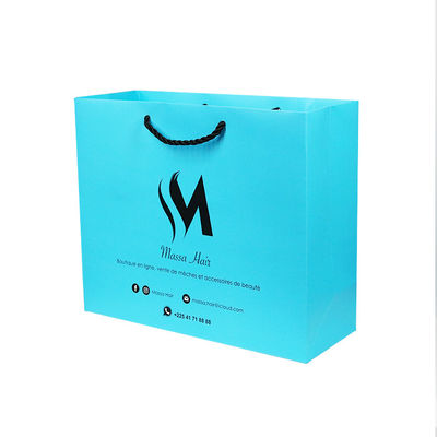 Sacos de papel recicláveis do cartão de 300GSM 1mm com multi estilo dos logotipos